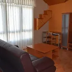 Apartman Vida
